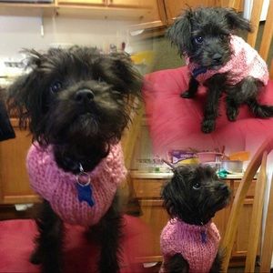 Meet your Posher, Hong